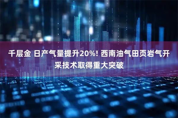 千层金 日产气量提升20%! 西南油气田页岩气开采技术取得重大突破