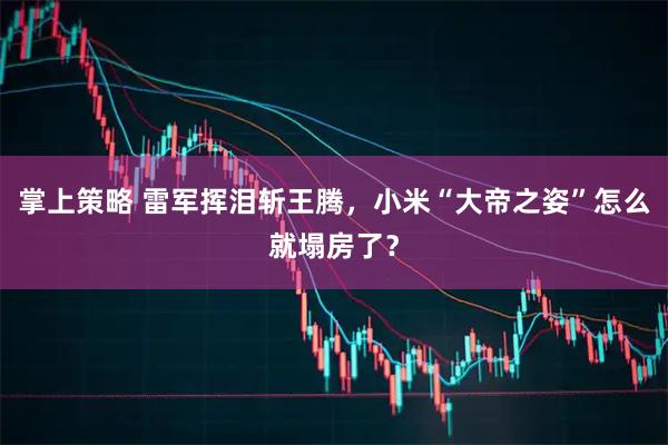 掌上策略 雷军挥泪斩王腾，小米“大帝之姿”怎么就塌房了？