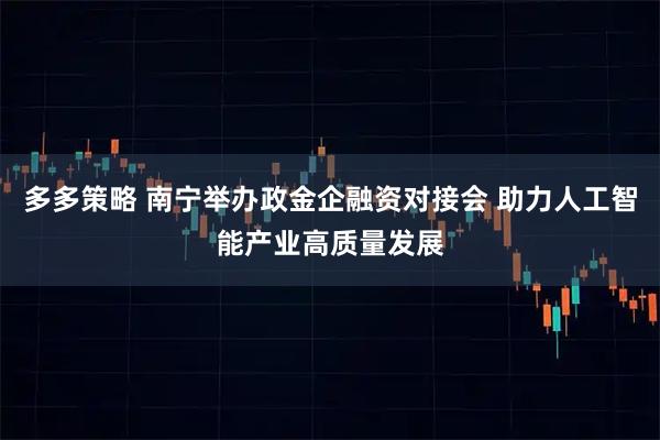 多多策略 南宁举办政金企融资对接会 助力人工智能产业高质量发展