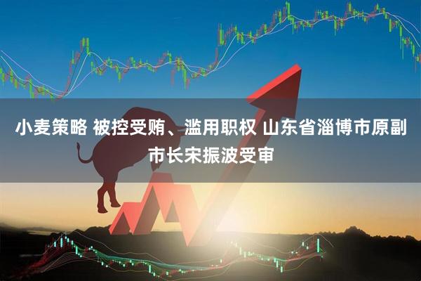 小麦策略 被控受贿、滥用职权 山东省淄博市原副市长宋振波受审