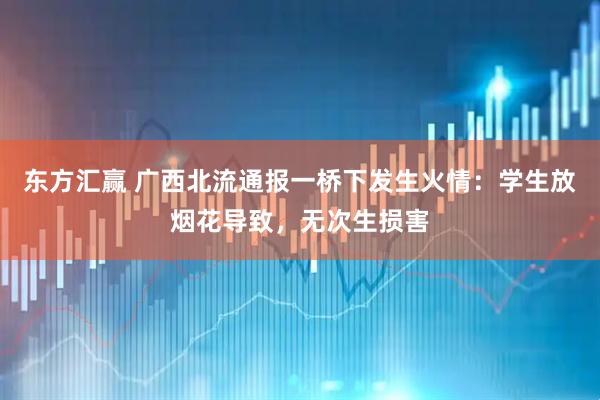 东方汇赢 广西北流通报一桥下发生火情：学生放烟花导致，无次生损害