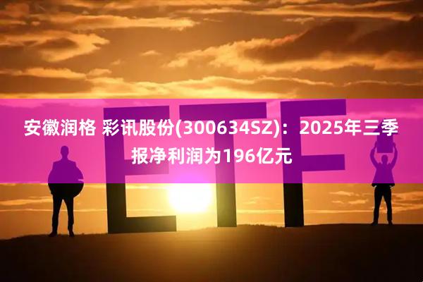 安徽润格 彩讯股份(300634SZ)：2025年三季报净利润为196亿元